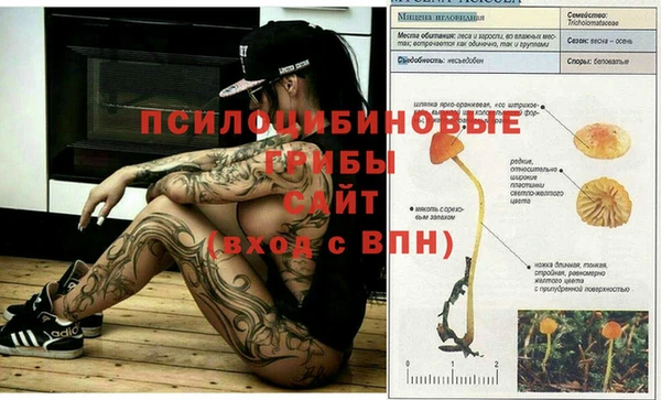 каннабис Алексеевка