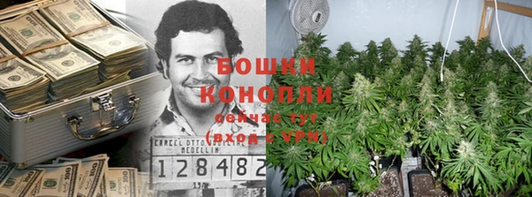 каннабис Алексеевка
