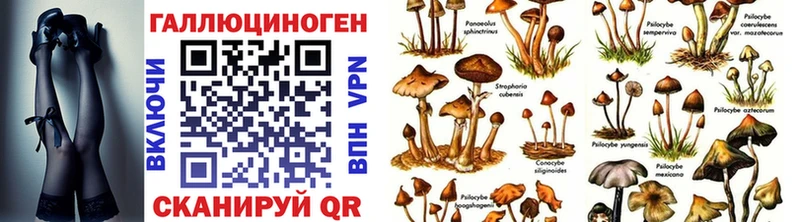 Галлюциногенные грибы мухоморы  Купить где  Магас 