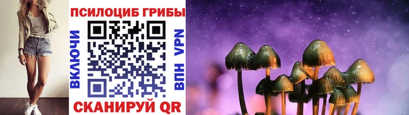 Псилоцибиновые грибы Cubensis Магас